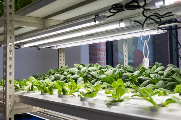 Xanlite store : profitez des meilleures offres en éclairage LED